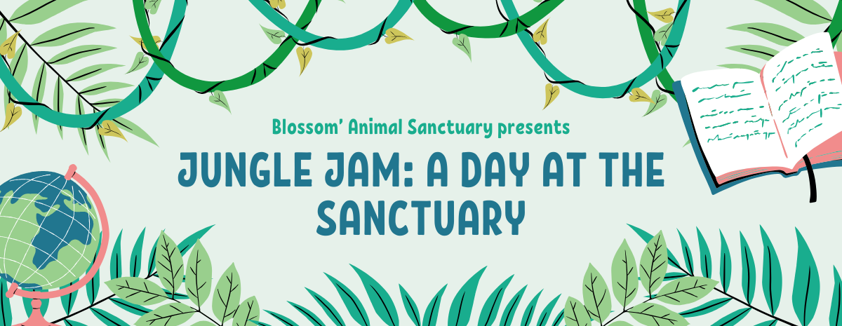 Jungle Jam: A Day at the Sanctuary